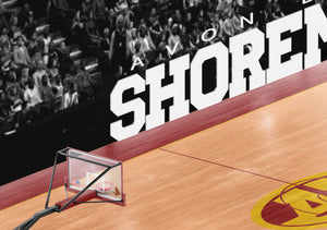 Avon Lake Shoremen 3D Basketball Arena